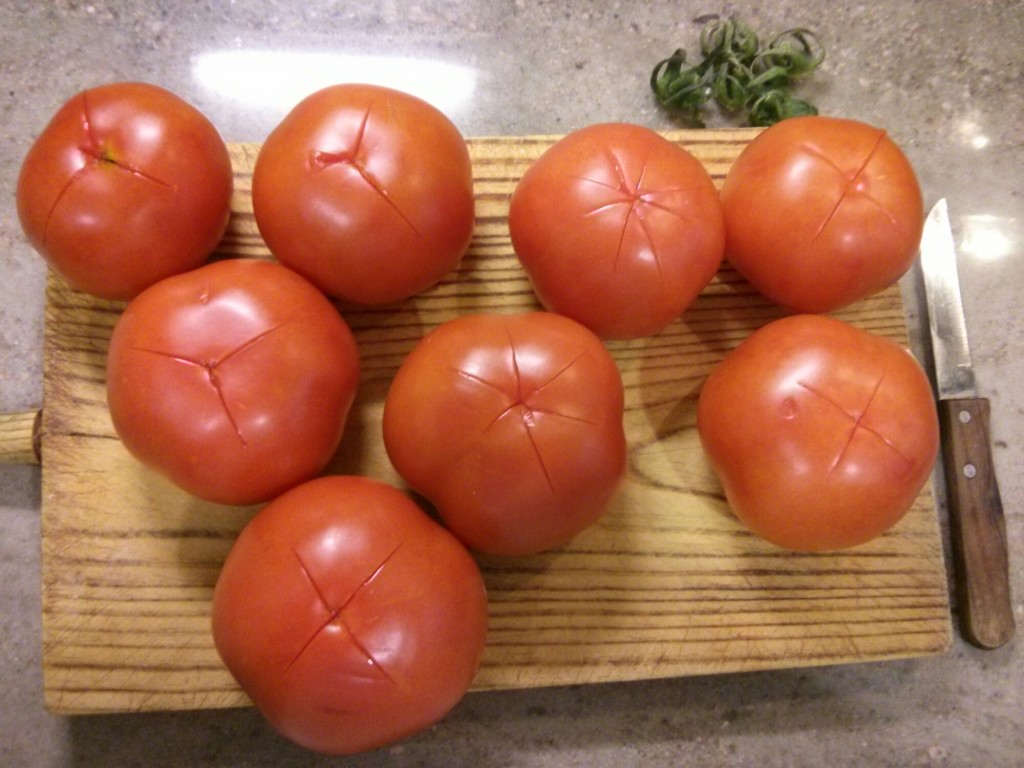 Lavamos los tomates salmorejo cordobés